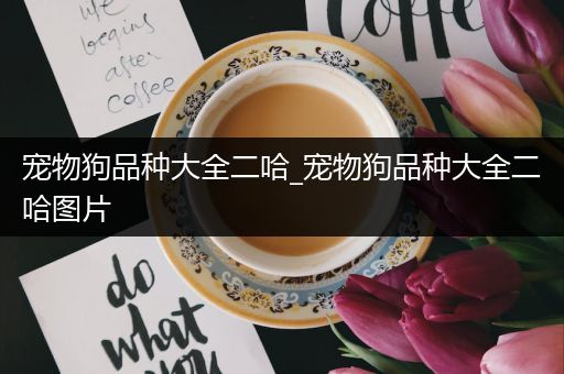 宠物狗品种大全二哈_宠物狗品种大全二哈图片