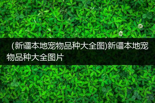 （新疆本地宠物品种大全图)新疆本地宠物品种大全图片