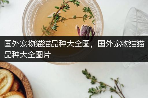 国外宠物猫猫品种大全图，国外宠物猫猫品种大全图片