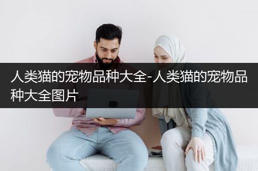 人类猫的宠物品种大全-人类猫的宠物品种大全图片