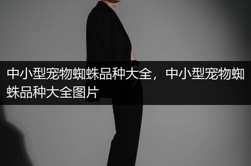 中小型宠物蜘蛛品种大全，中小型宠物蜘蛛品种大全图片