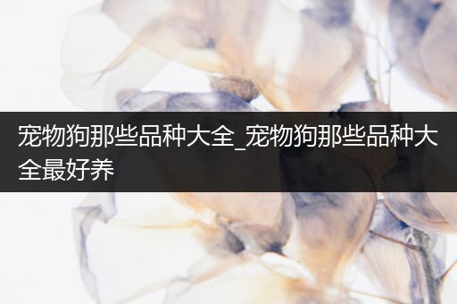 宠物狗那些品种大全_宠物狗那些品种大全最好养