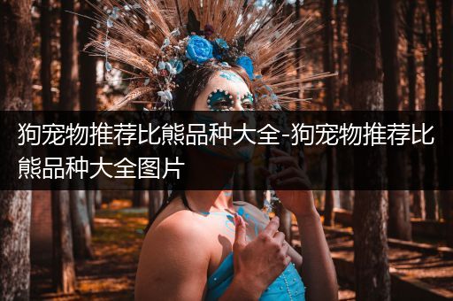 狗宠物推荐比熊品种大全-狗宠物推荐比熊品种大全图片