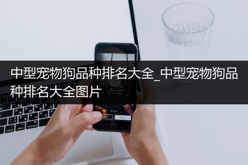 中型宠物狗品种排名大全_中型宠物狗品种排名大全图片