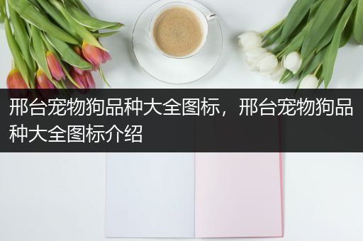 邢台宠物狗品种大全图标，邢台宠物狗品种大全图标介绍