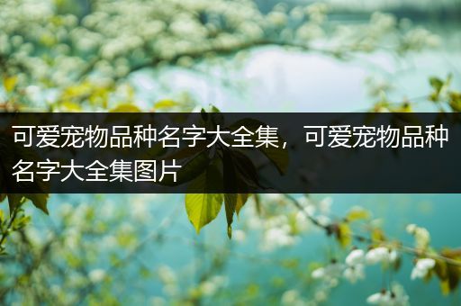 可爱宠物品种名字大全集，可爱宠物品种名字大全集图片