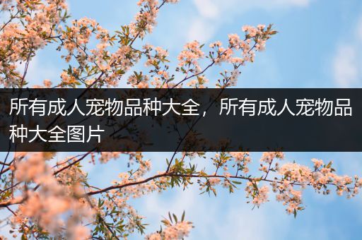 所有成人宠物品种大全，所有成人宠物品种大全图片