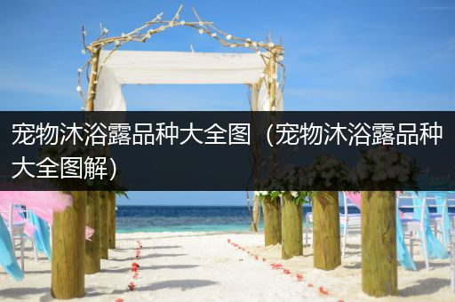 宠物沐浴露品种大全图（宠物沐浴露品种大全图解）