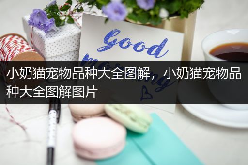 小奶猫宠物品种大全图解，小奶猫宠物品种大全图解图片