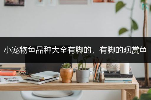小宠物鱼品种大全有脚的，有脚的观赏鱼