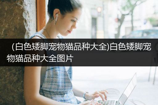 （白色矮脚宠物猫品种大全)白色矮脚宠物猫品种大全图片