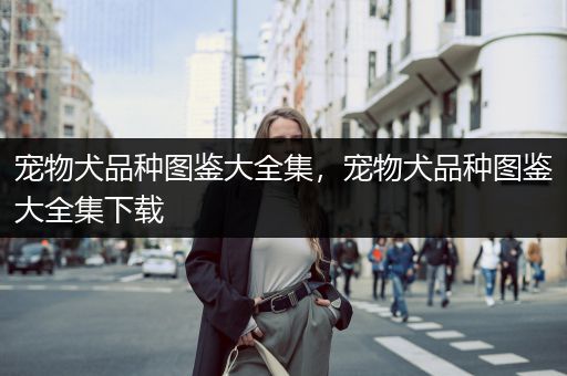 宠物犬品种图鉴大全集，宠物犬品种图鉴大全集下载