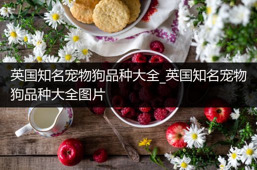 英国知名宠物狗品种大全_英国知名宠物狗品种大全图片