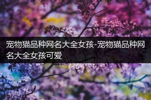 宠物猫品种网名大全女孩-宠物猫品种网名大全女孩可爱