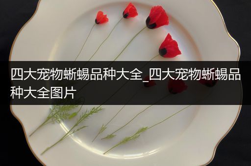 四大宠物蜥蜴品种大全_四大宠物蜥蜴品种大全图片