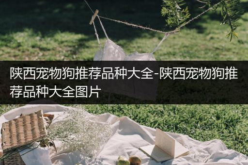 陕西宠物狗推荐品种大全-陕西宠物狗推荐品种大全图片