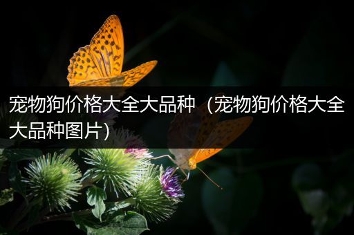 宠物狗价格大全大品种（宠物狗价格大全大品种图片）