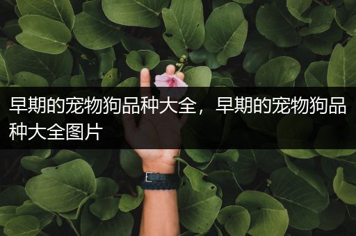 早期的宠物狗品种大全，早期的宠物狗品种大全图片