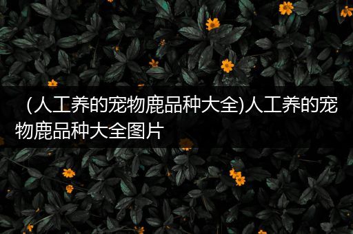 （人工养的宠物鹿品种大全)人工养的宠物鹿品种大全图片