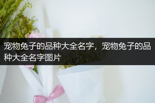 宠物兔子的品种大全名字，宠物兔子的品种大全名字图片