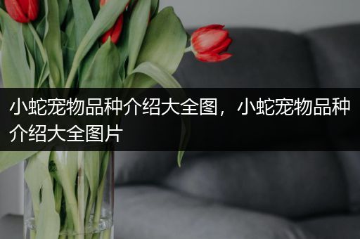 小蛇宠物品种介绍大全图，小蛇宠物品种介绍大全图片