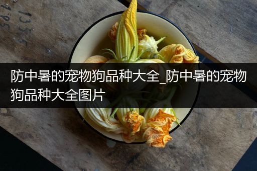 防中暑的宠物狗品种大全_防中暑的宠物狗品种大全图片