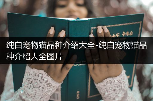 纯白宠物猫品种介绍大全-纯白宠物猫品种介绍大全图片