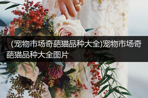 （宠物市场奇葩猫品种大全)宠物市场奇葩猫品种大全图片