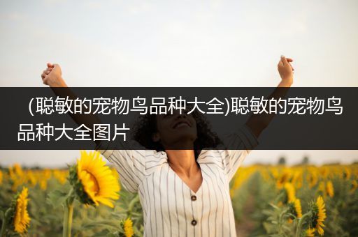 （聪敏的宠物鸟品种大全)聪敏的宠物鸟品种大全图片