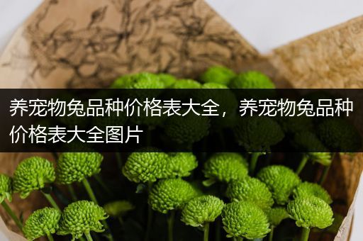 养宠物兔品种价格表大全，养宠物兔品种价格表大全图片