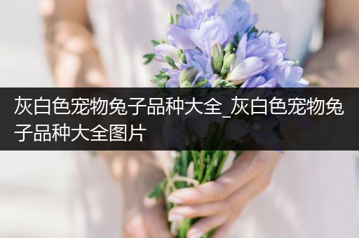 灰白色宠物兔子品种大全_灰白色宠物兔子品种大全图片