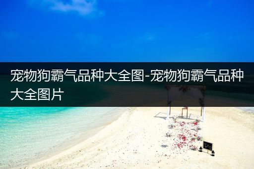 宠物狗霸气品种大全图-宠物狗霸气品种大全图片