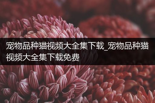 宠物品种猫视频大全集下载_宠物品种猫视频大全集下载免费