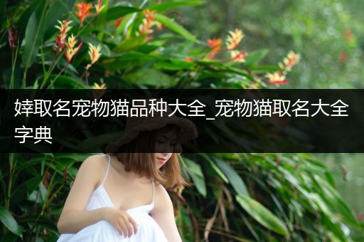 婞取名宠物猫品种大全_宠物猫取名大全字典