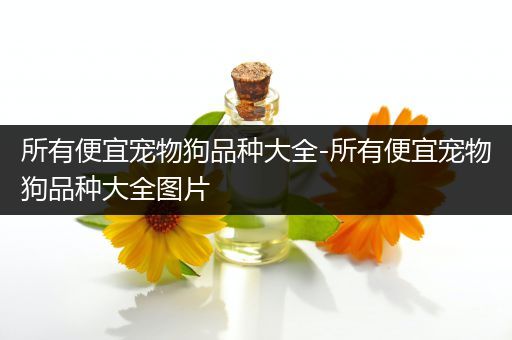 所有便宜宠物狗品种大全-所有便宜宠物狗品种大全图片