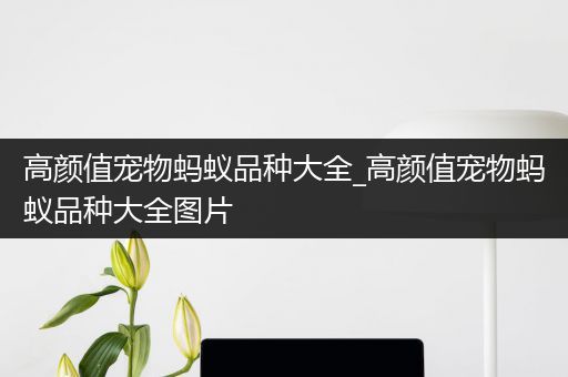 高颜值宠物蚂蚁品种大全_高颜值宠物蚂蚁品种大全图片