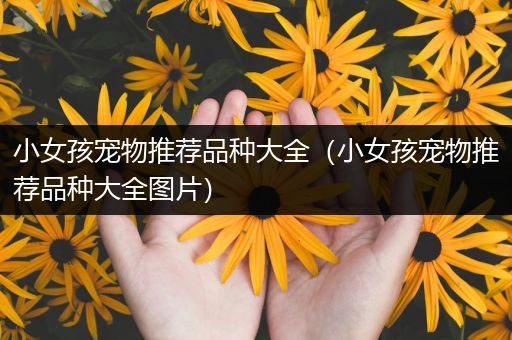 小女孩宠物推荐品种大全（小女孩宠物推荐品种大全图片）