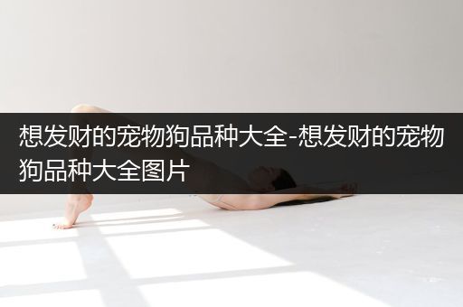 想发财的宠物狗品种大全-想发财的宠物狗品种大全图片