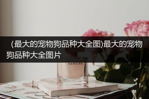 （最大的宠物狗品种大全图)最大的宠物狗品种大全图片