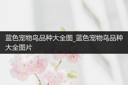 蓝色宠物鸟品种大全图_蓝色宠物鸟品种大全图片