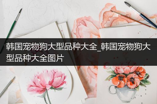 韩国宠物狗大型品种大全_韩国宠物狗大型品种大全图片