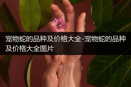 宠物蛇的品种及价格大全-宠物蛇的品种及价格大全图片