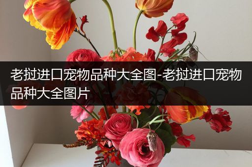 老挝进口宠物品种大全图-老挝进口宠物品种大全图片