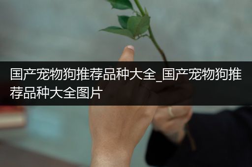 国产宠物狗推荐品种大全_国产宠物狗推荐品种大全图片