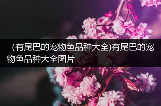 （有尾巴的宠物鱼品种大全)有尾巴的宠物鱼品种大全图片