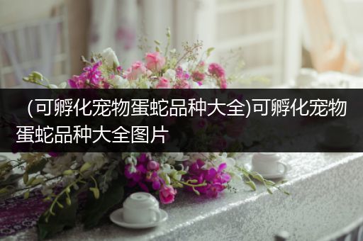 （可孵化宠物蛋蛇品种大全)可孵化宠物蛋蛇品种大全图片