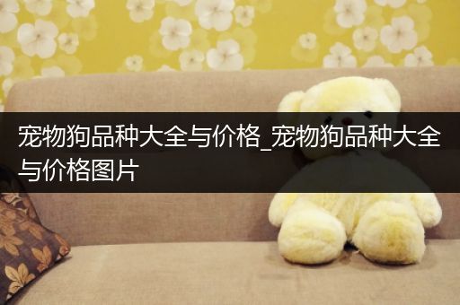 宠物狗品种大全与价格_宠物狗品种大全与价格图片