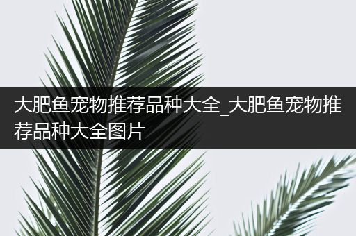 大肥鱼宠物推荐品种大全_大肥鱼宠物推荐品种大全图片