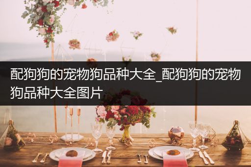 配狗狗的宠物狗品种大全_配狗狗的宠物狗品种大全图片