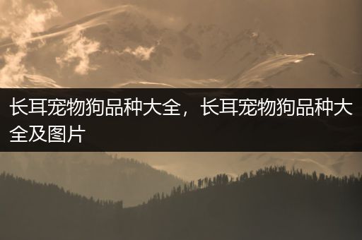 长耳宠物狗品种大全，长耳宠物狗品种大全及图片